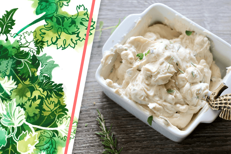 Delicious Herby Botanical Cheese Spread Recipe