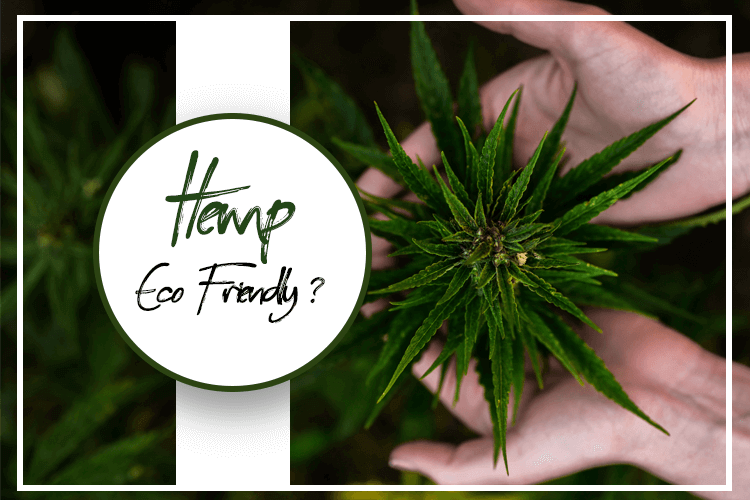How can Hemp cultivation be made eco-friendly?