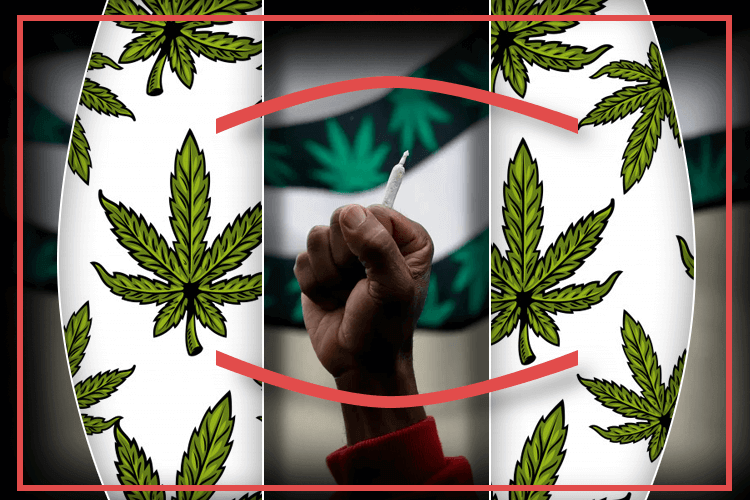 Measures in New California Bill to Legalise CBD sale in Marijuana Dispensaries