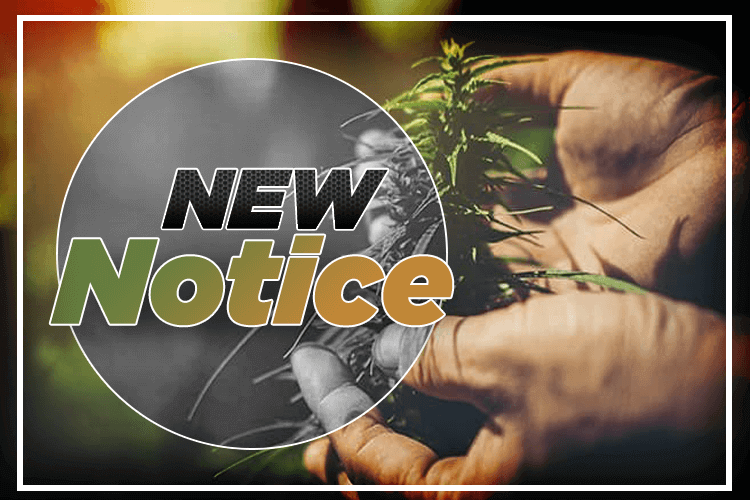 New guidance notice for hemp producers by the USDA