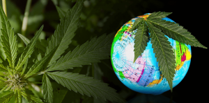 EU mum, but US opposes CBD exemption from global drug control